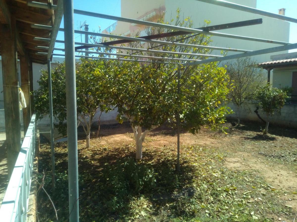 Vangelis House Near Athens Airport Artemida  Exterior foto